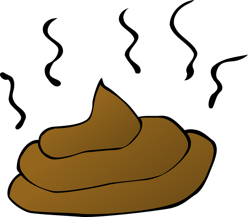 Poop, Feces, Smelly, Crap, Dog, Stool, Shit, Droppings - Smelly, Transparent background PNG HD thumbnail