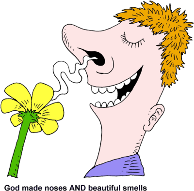 Smell Clipart - Smelly, Transparent background PNG HD thumbnail