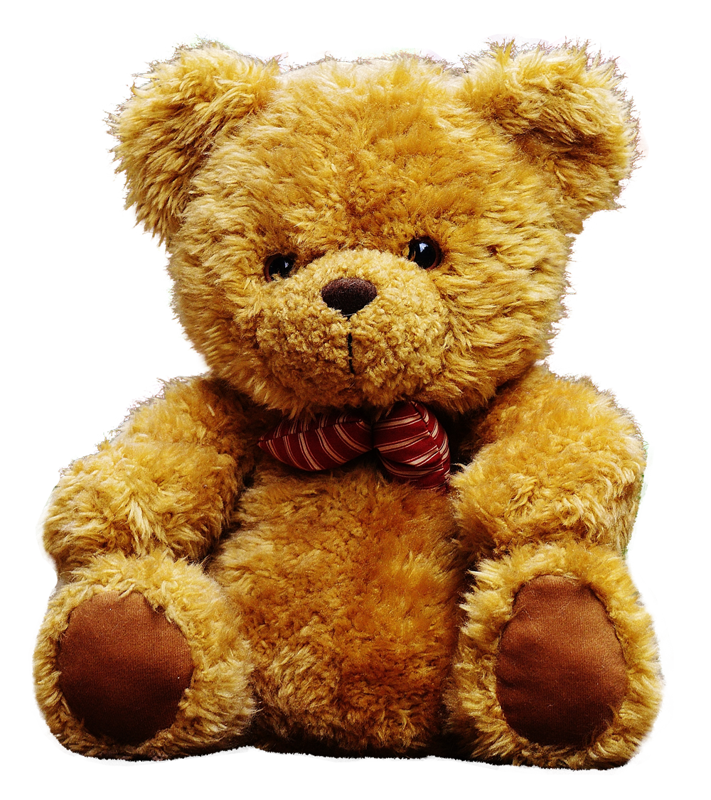 Teddy Bear Png Image - Teddy Bears, Transparent background PNG HD thumbnail
