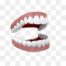 Open Teeth, Tooth, White, Hand Painted Png Image - Teeth, Transparent background PNG HD thumbnail