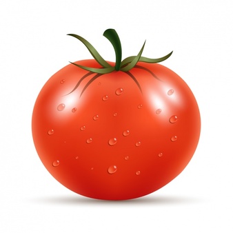Fresh Tomato - Tomatoes, Transparent background PNG HD thumbnail