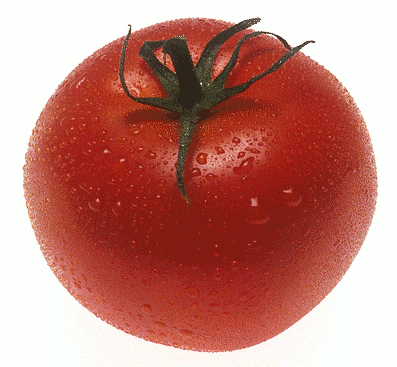 March | 2011 | Niftynotcool - Tomatoes, Transparent background PNG HD thumbnail