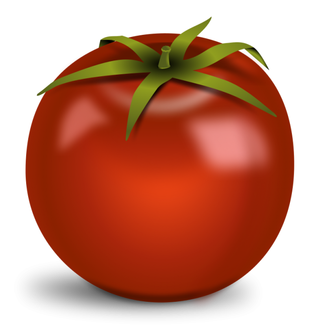 Tomato Clip Art Free Png - Tomatoes, Transparent background PNG HD thumbnail