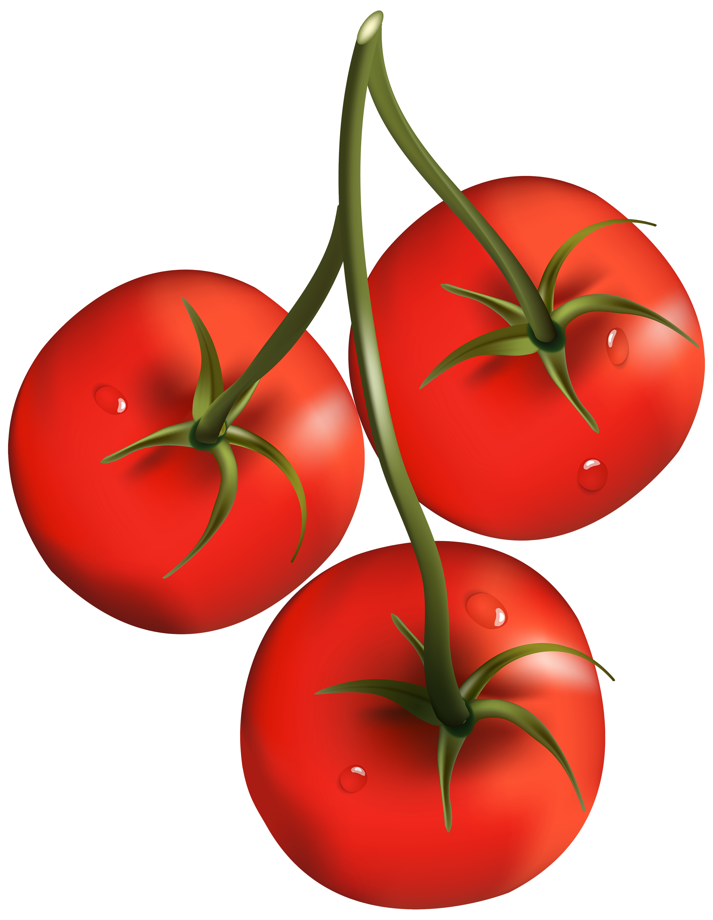 Tomatoes Png - Tomatoes, Transparent background PNG HD thumbnail