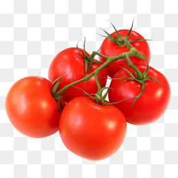 Tomato plant clipart no backg