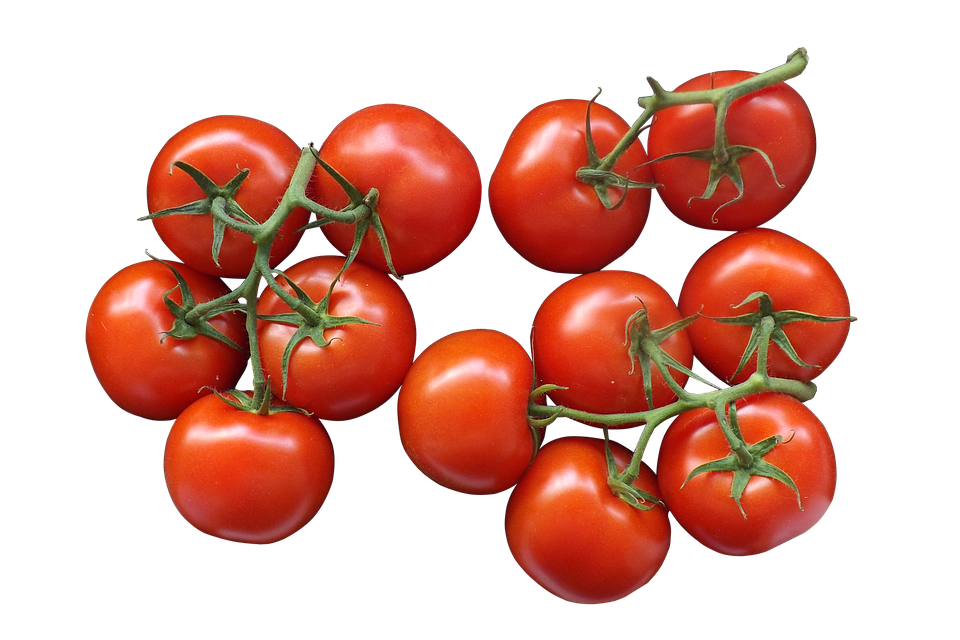 Tomatoes, Trusses, Packaging, Transparent, Isolated - Tomatoes, Transparent background PNG HD thumbnail