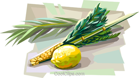 Free Sukkot PNG - Lulav And Etrog For Su