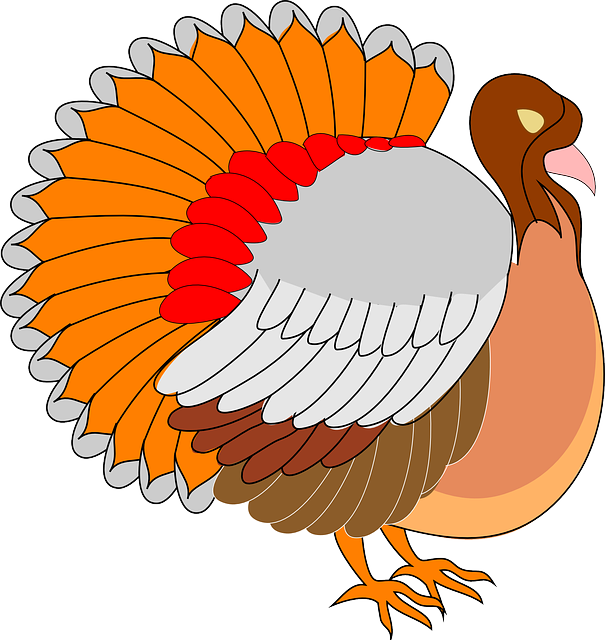 Free Vector Graphic: View, Thanksgiving, Turkey, Bird   Free Image On Pixabay   48562 - Turkey Bird, Transparent background PNG HD thumbnail