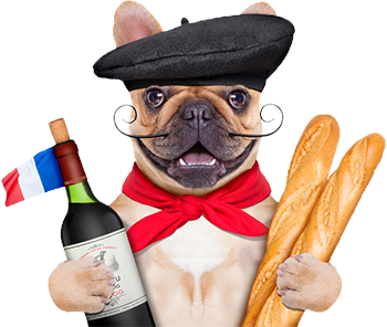 Learn French Online For Free! - French Culture, Transparent background PNG HD thumbnail