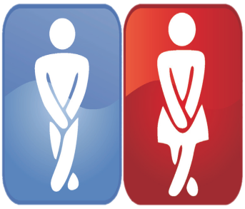 Uridoc   Improves Urination - Frequent Urination, Transparent background PNG HD thumbnail