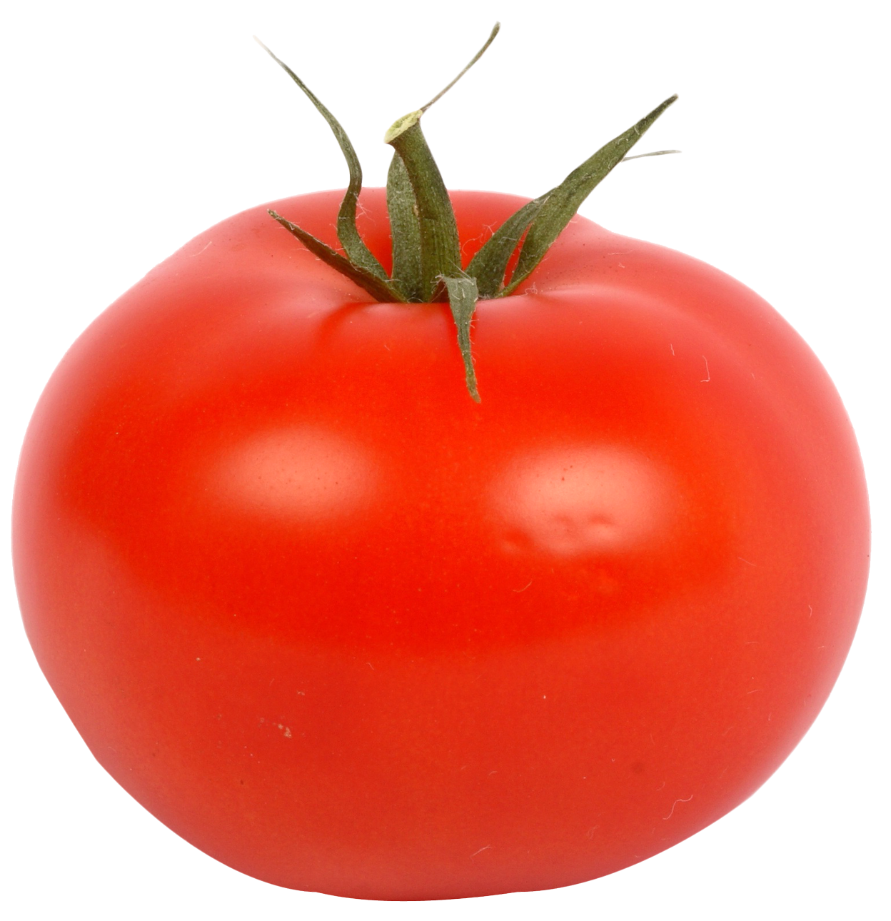 Fresh Red Tomato Png Image - Tomato, Transparent background PNG HD thumbnail