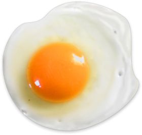 Fried Egg Png Hd Hdpng.com 280 - Fried Egg, Transparent background PNG HD thumbnail