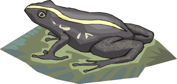 Png: Small · Medium · Large - Frog On Lily Pad, Transparent background PNG HD thumbnail
