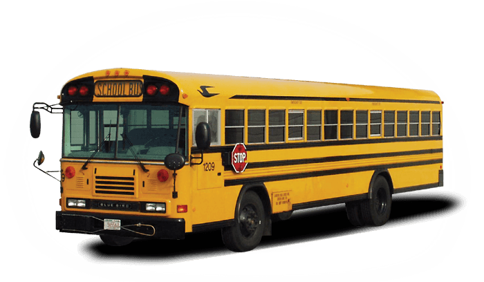 Download PNG image - School Bus Png Image 678, Frog On School Bus PNG - Free PNG