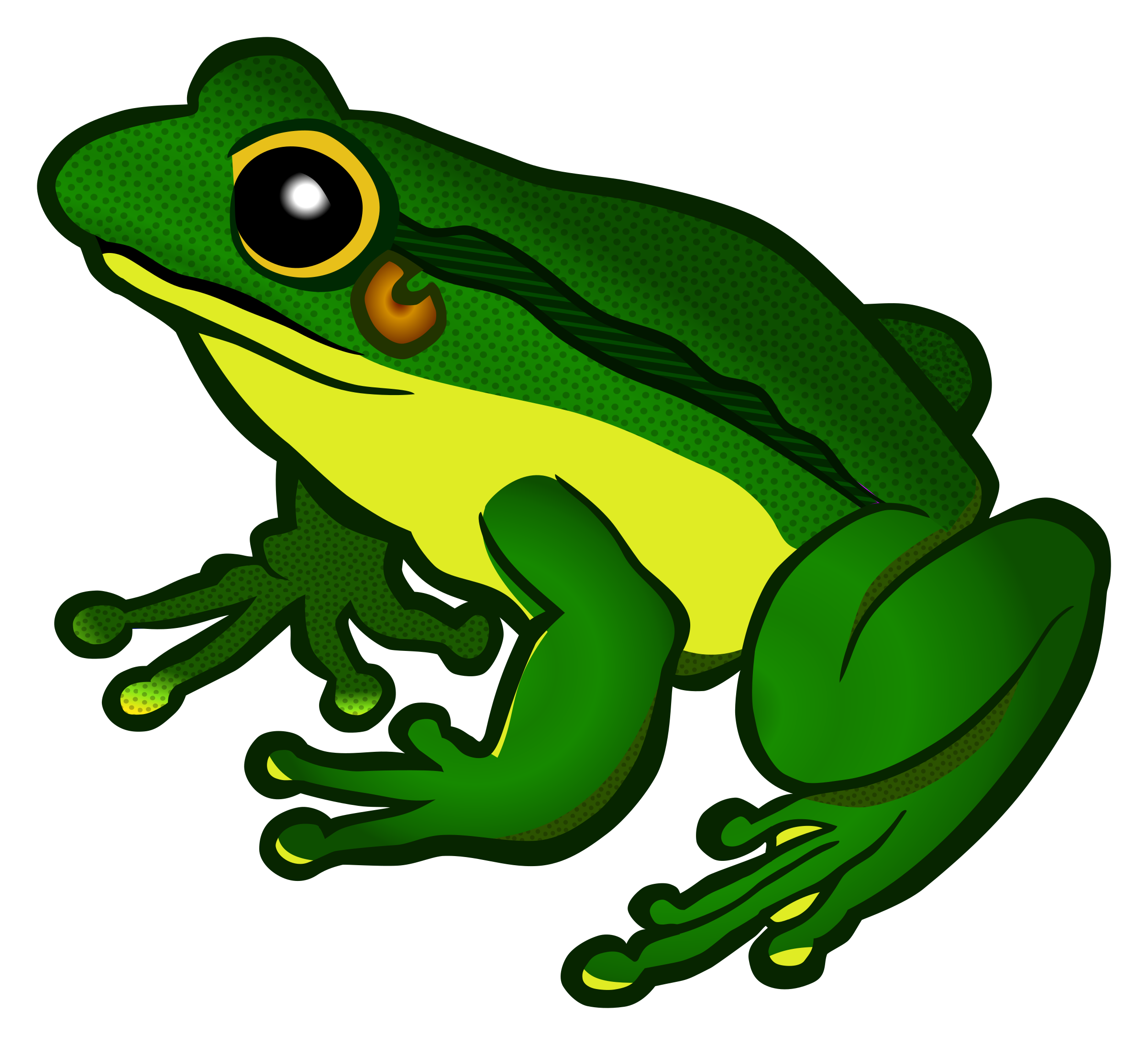 Frog Transparent Background   Frog Png - Frog, Transparent background PNG HD thumbnail