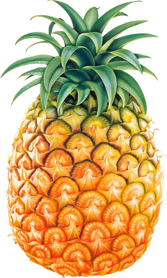 Pineapple Fruit Png Image - Fruit, Transparent background PNG HD thumbnail