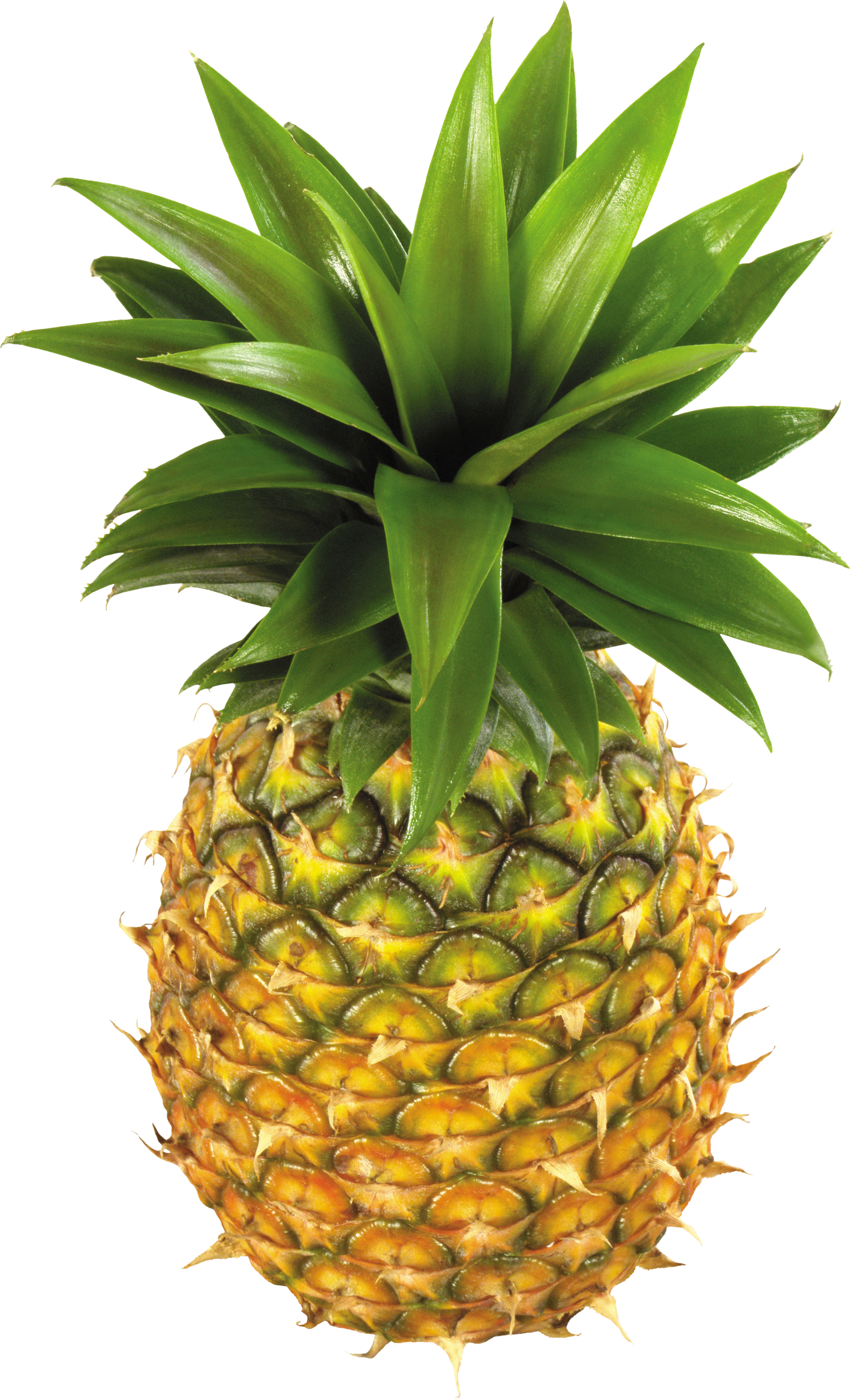 Pineapple · Pistachios Png - Fruit, Transparent background PNG HD thumbnail