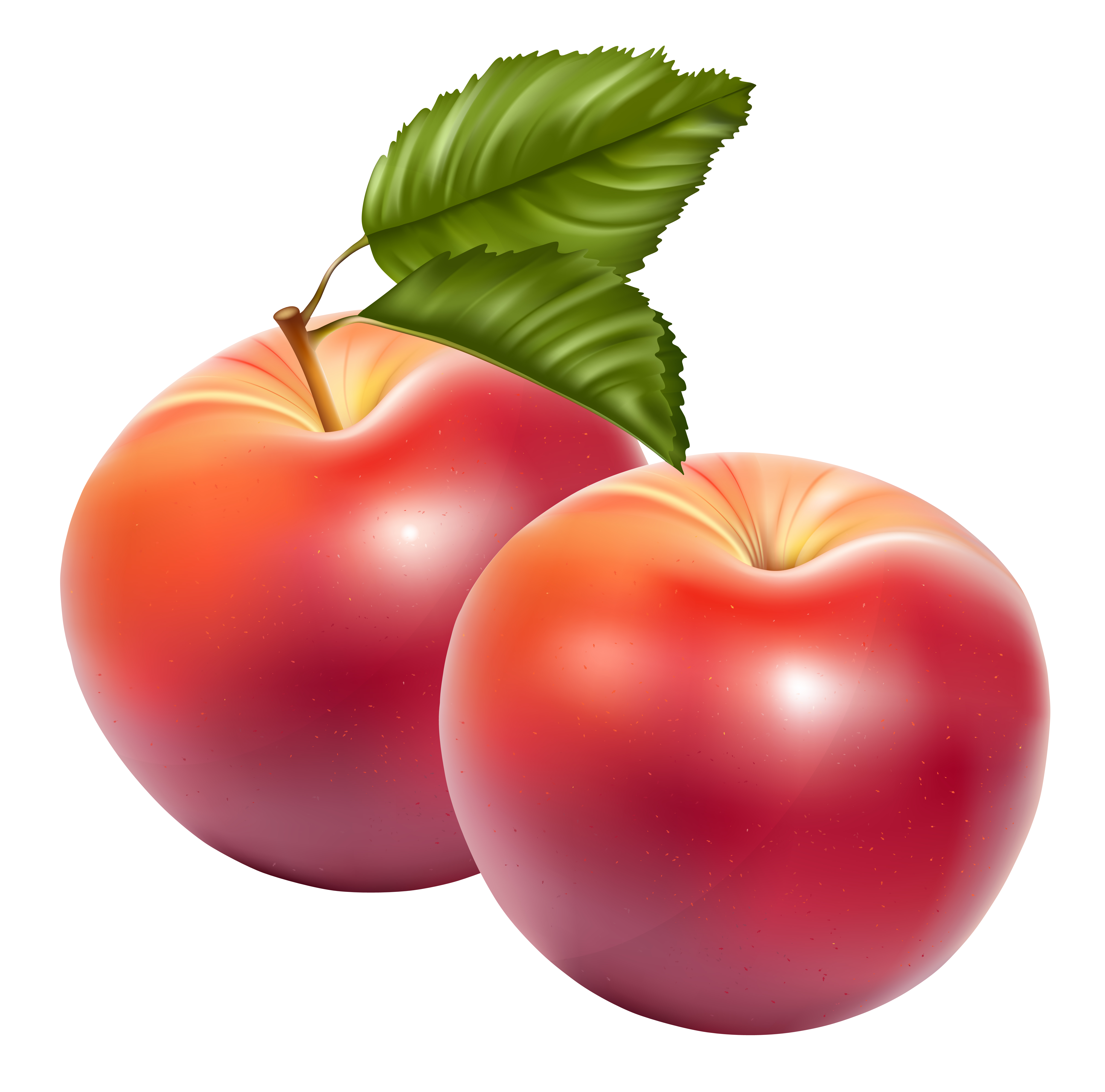 Apple Fruit Png Image - Fruits, Transparent background PNG HD thumbnail