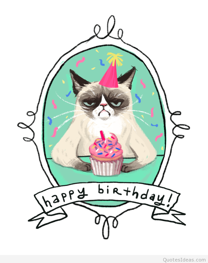 . Hdpng.com Happy Birthday Funny Grumpy Cat Hdpng.com  - Fun Birthday, Transparent background PNG HD thumbnail