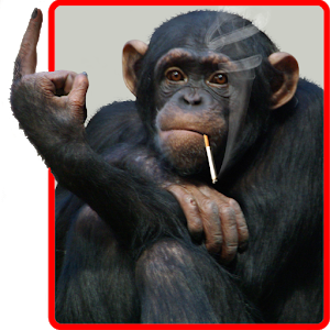 Funny Monkey Live Wallpaper - Funny Monkey, Transparent background PNG HD thumbnail