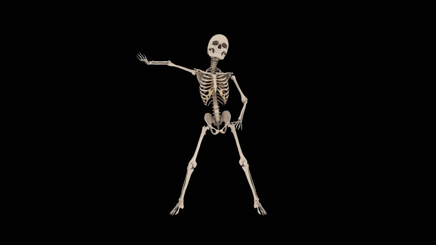 Funny Skeletons Hip Hop Street Dancing   Mouling Rouge. Transparent Video With Alpha Channel. Png  Mov Stock Footage Video 10316090 | Shutterstock - Funny, Transparent background PNG HD thumbnail