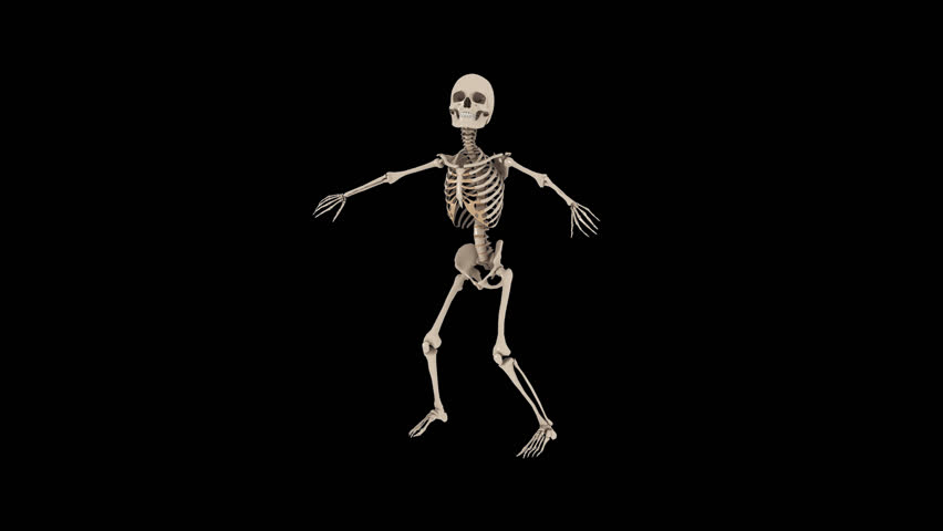 Funny Skeletons Hip Hop Street Dancing   Skate Roll. Transparent Video With Alpha Channel. Png  Mov Stock Footage Video 10316087 | Shutterstock - Funny, Transparent background PNG HD thumbnail