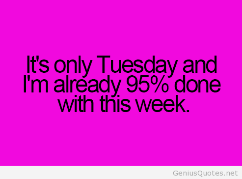 Funny Tuesday Tumblr Saying - Funny Tuesday, Transparent background PNG HD thumbnail