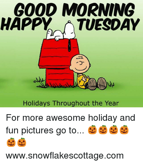Memes, Good Morning, And Good: Good Morning Happy Tuesday Holidays Throughout The Year - Funny Tuesday, Transparent background PNG HD thumbnail
