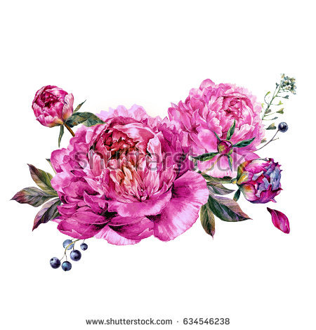 Watercolor Floral Decoration Made Of Fuchsia Peonies, Buds And Foliage. Botanical Illustration In Vintage - Fuschia Flowers, Transparent background PNG HD thumbnail