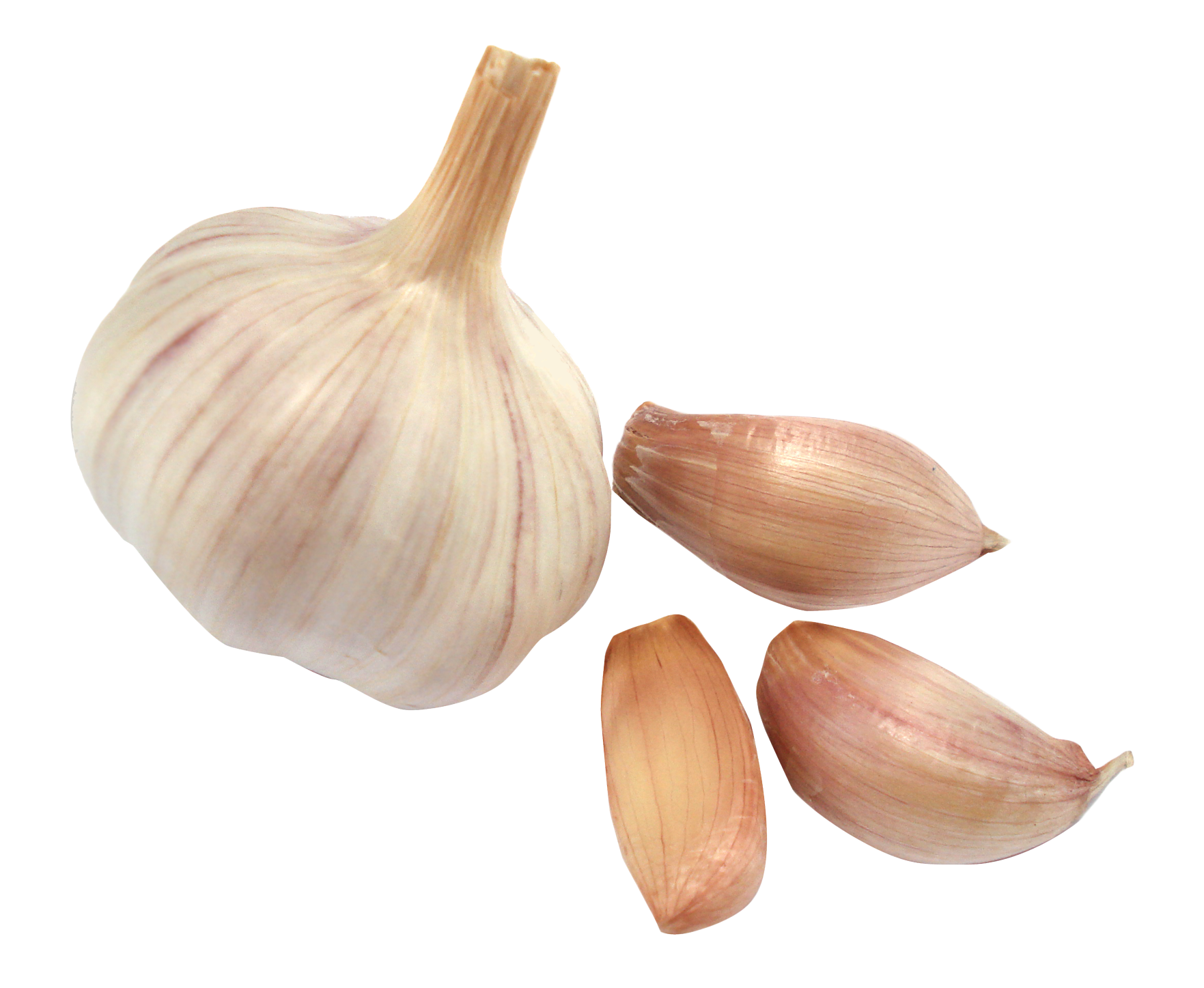 Garlic Png Image - Garlic, Transparent background PNG HD thumbnail
