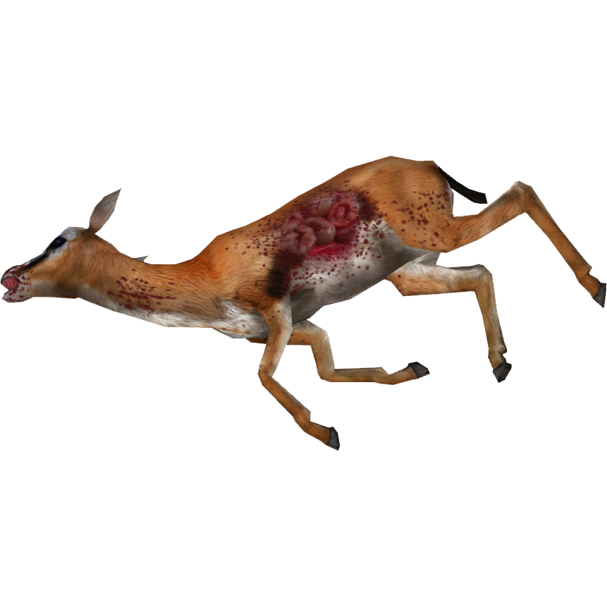 Gazelle PNG HD
