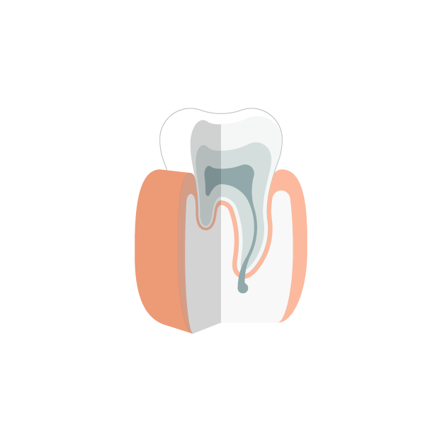Endodontie Gesunder Zahn - Gesunder Zahn, Transparent background PNG HD thumbnail