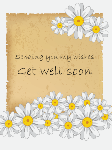 White Daisy Flower Get Well Card | Birthday U0026 Greeting Cards By Davia - Get Well Card, Transparent background PNG HD thumbnail