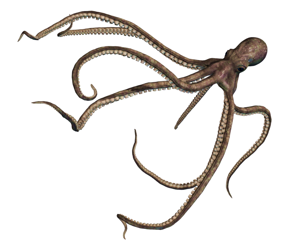 Giant Of The Deep Png Stock 01 By Roy3D - Octopus, Transparent background PNG HD thumbnail