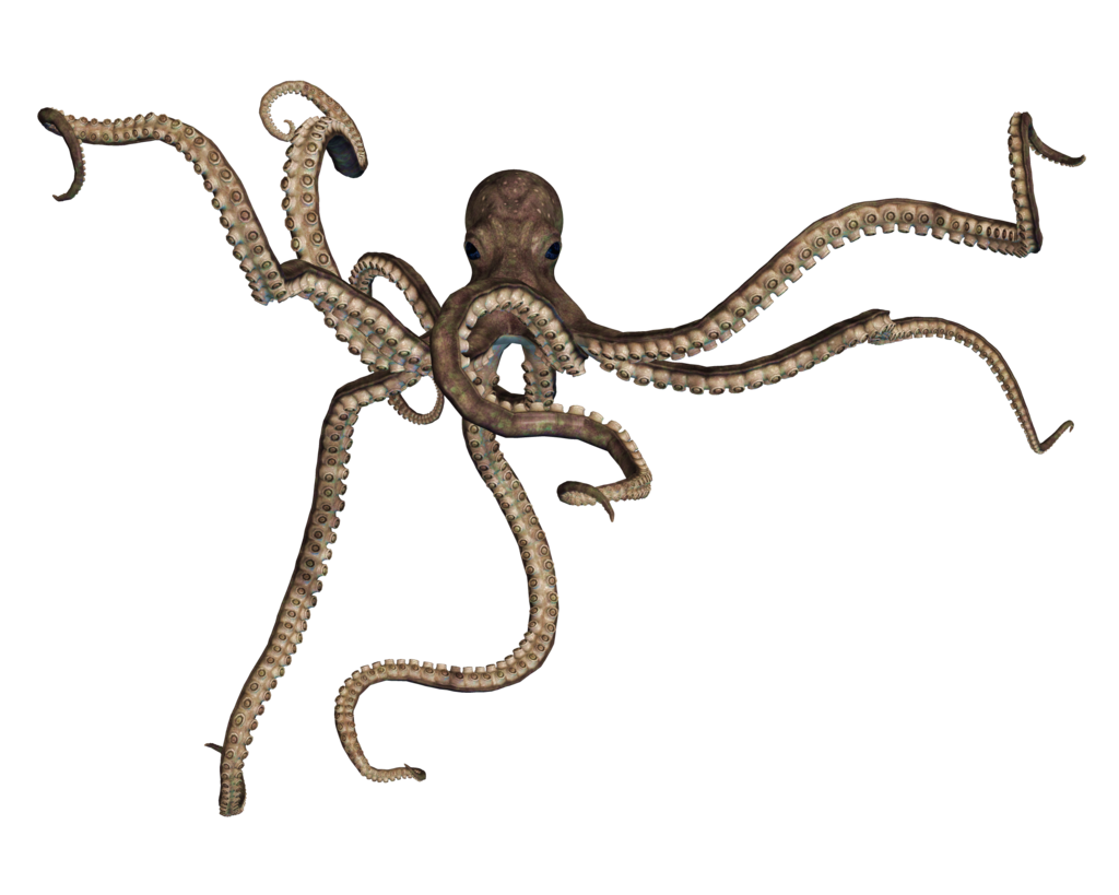. Hdpng.com Giant Of The Deep Png Stock 05 By Roy3D - Octopus, Transparent background PNG HD thumbnail