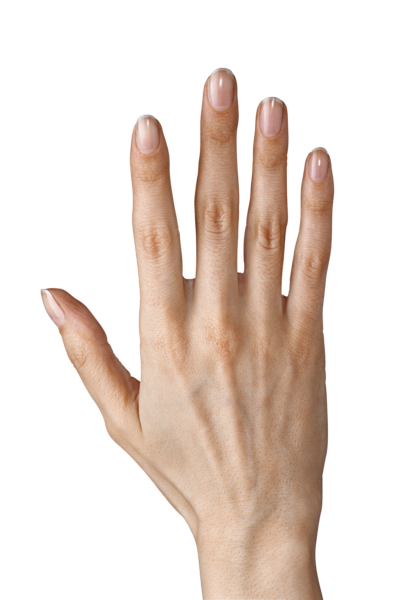 Girl Fingers Png - Fingers, Transparent background PNG HD thumbnail
