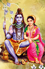 Sivan Parvathi - God Siva Parvathi, Transparent background PNG HD thumbnail