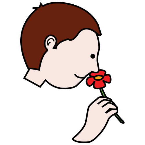 Smell - Good Smell, Transparent background PNG HD thumbnail