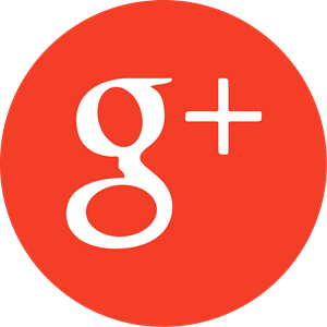 Google Icon Logo Vector - Google Photos Vector, Transparent background PNG HD thumbnail