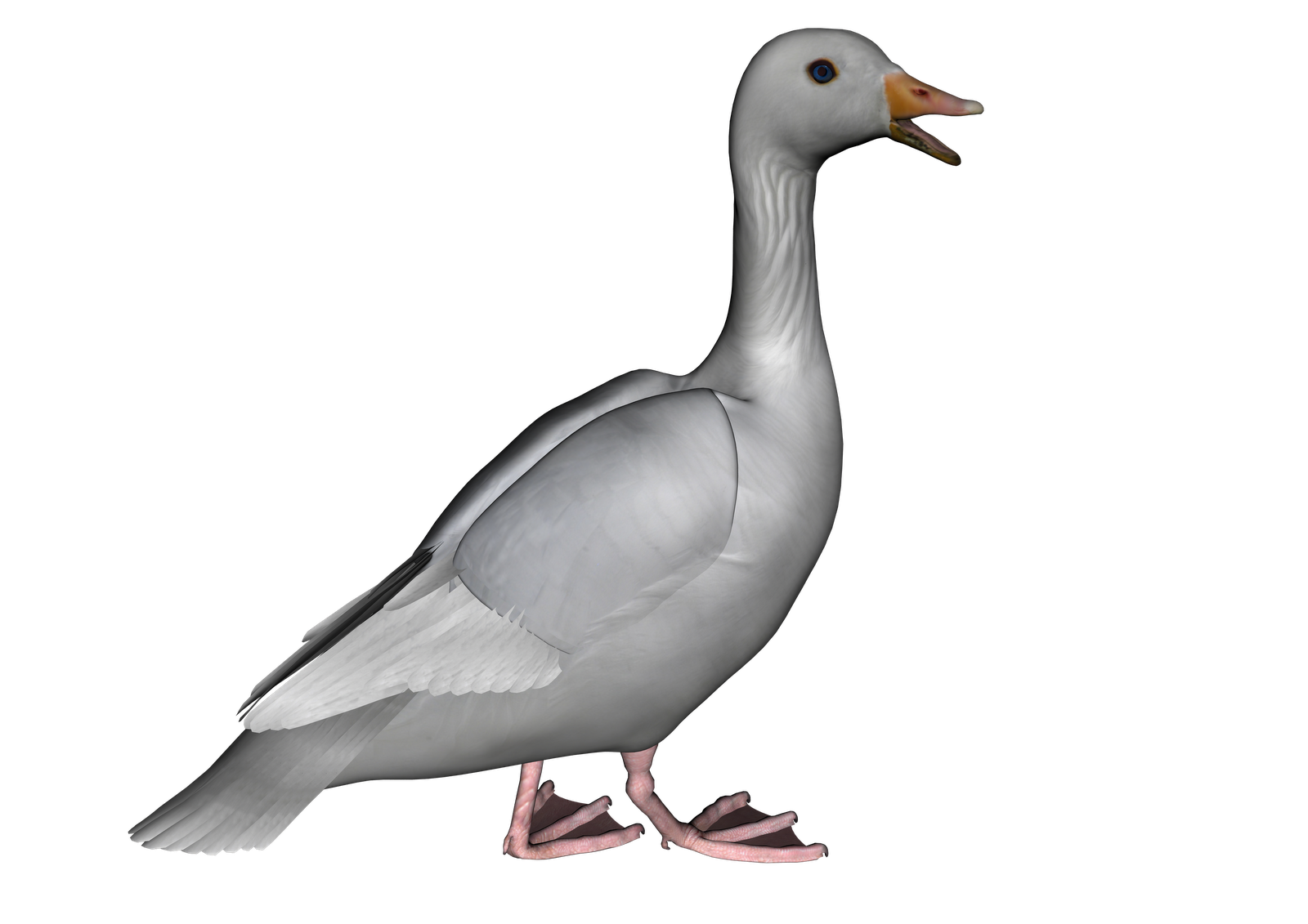 Goose Hd PNG Image