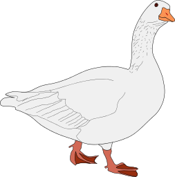 White Goose Png image #33524