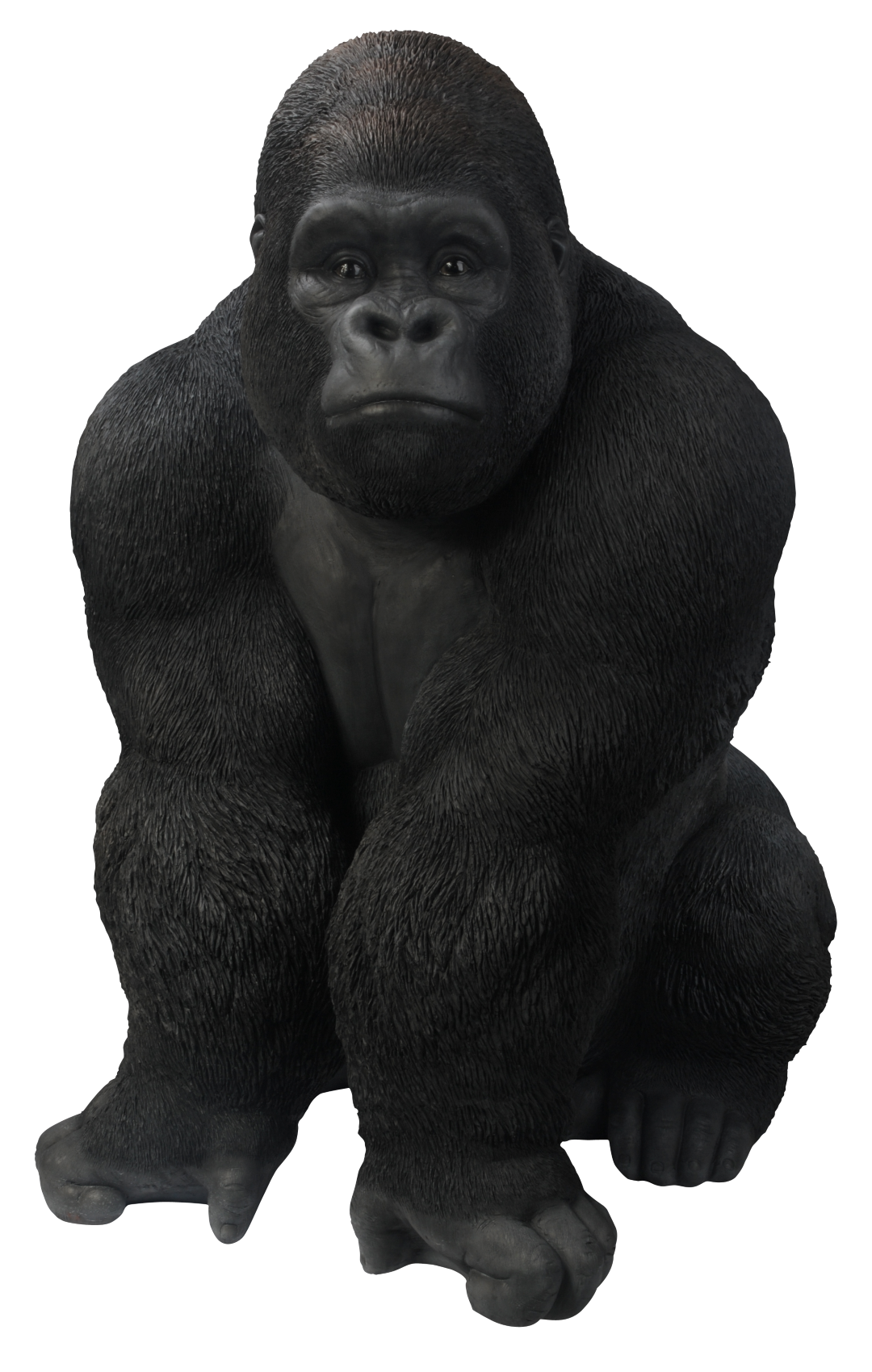 PNG File Name: Gorilla PlusPn
