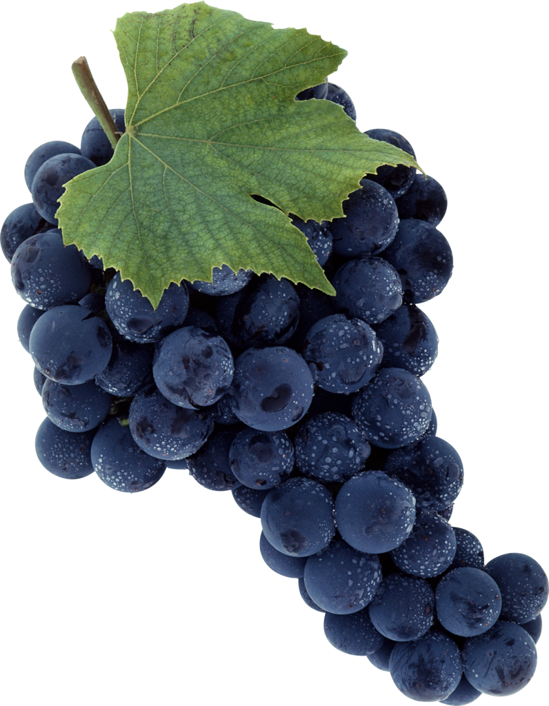 Grape Png Image Download, Free Picture - Grape, Transparent background PNG HD thumbnail