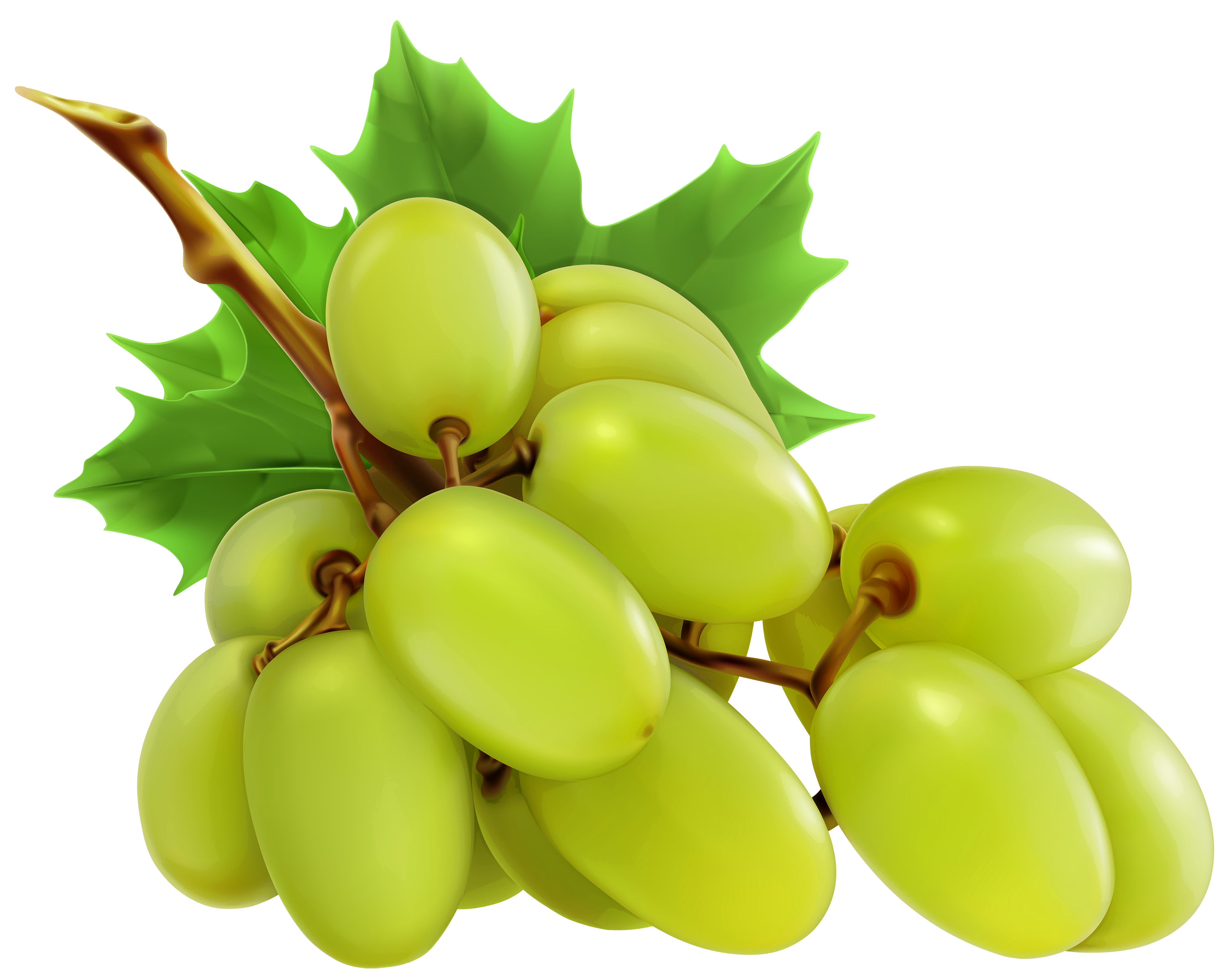 Pin Grapes Clipart Green Grape #9 - Grape Vine, Transparent background PNG HD thumbnail