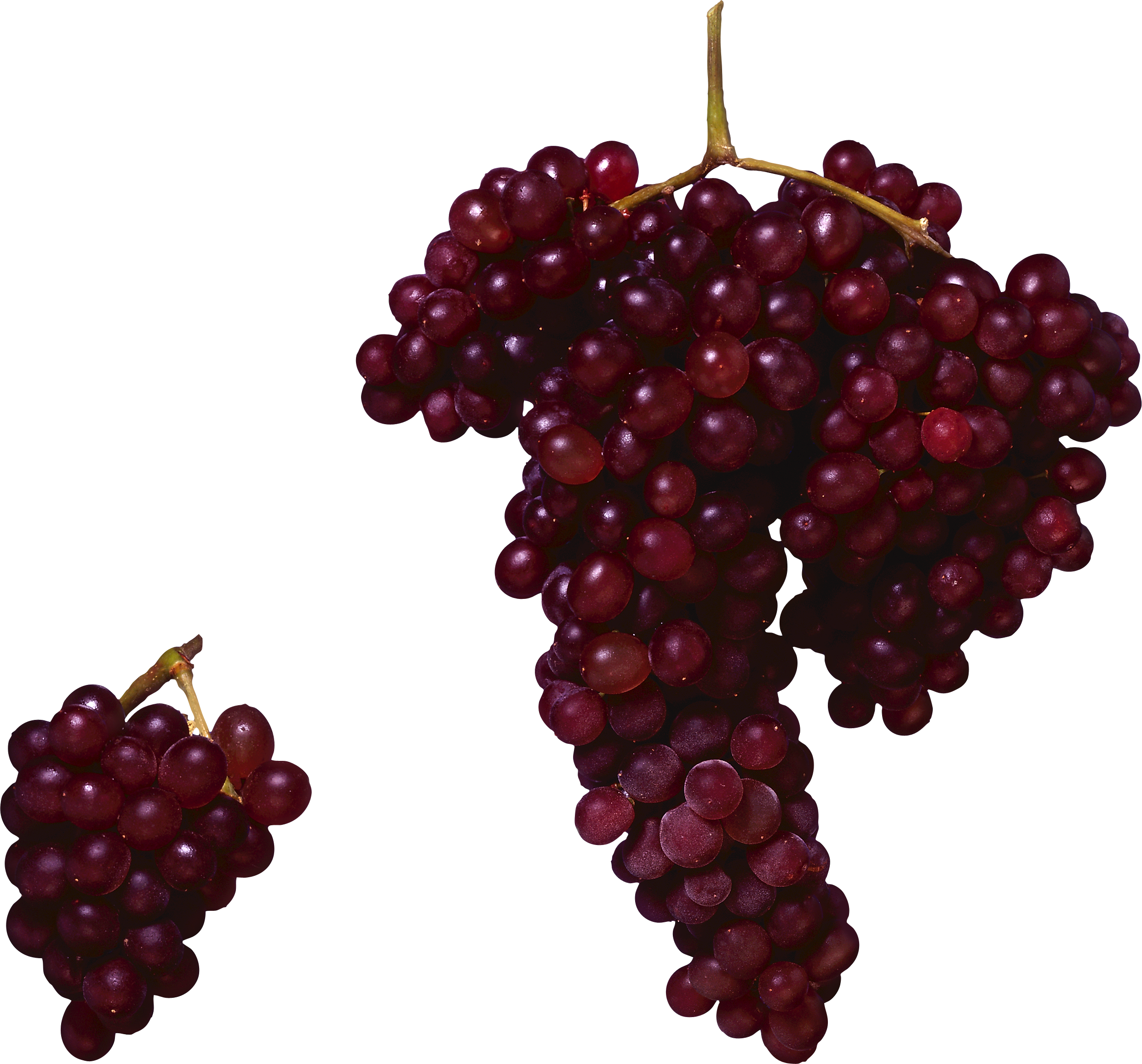 Red Grape Png Image - Grape Vine, Transparent background PNG HD thumbnail