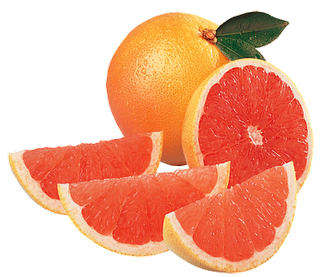 Grapefruit Png - Grapefruit, Transparent background PNG HD thumbnail