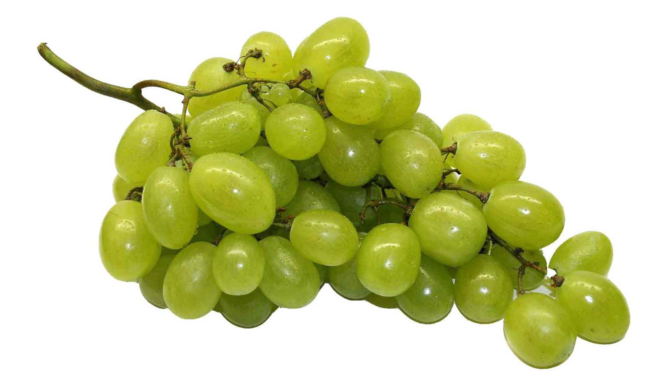 Filename: Green Grapes 6429.full.png   Grapes Png - Grapes, Transparent background PNG HD thumbnail