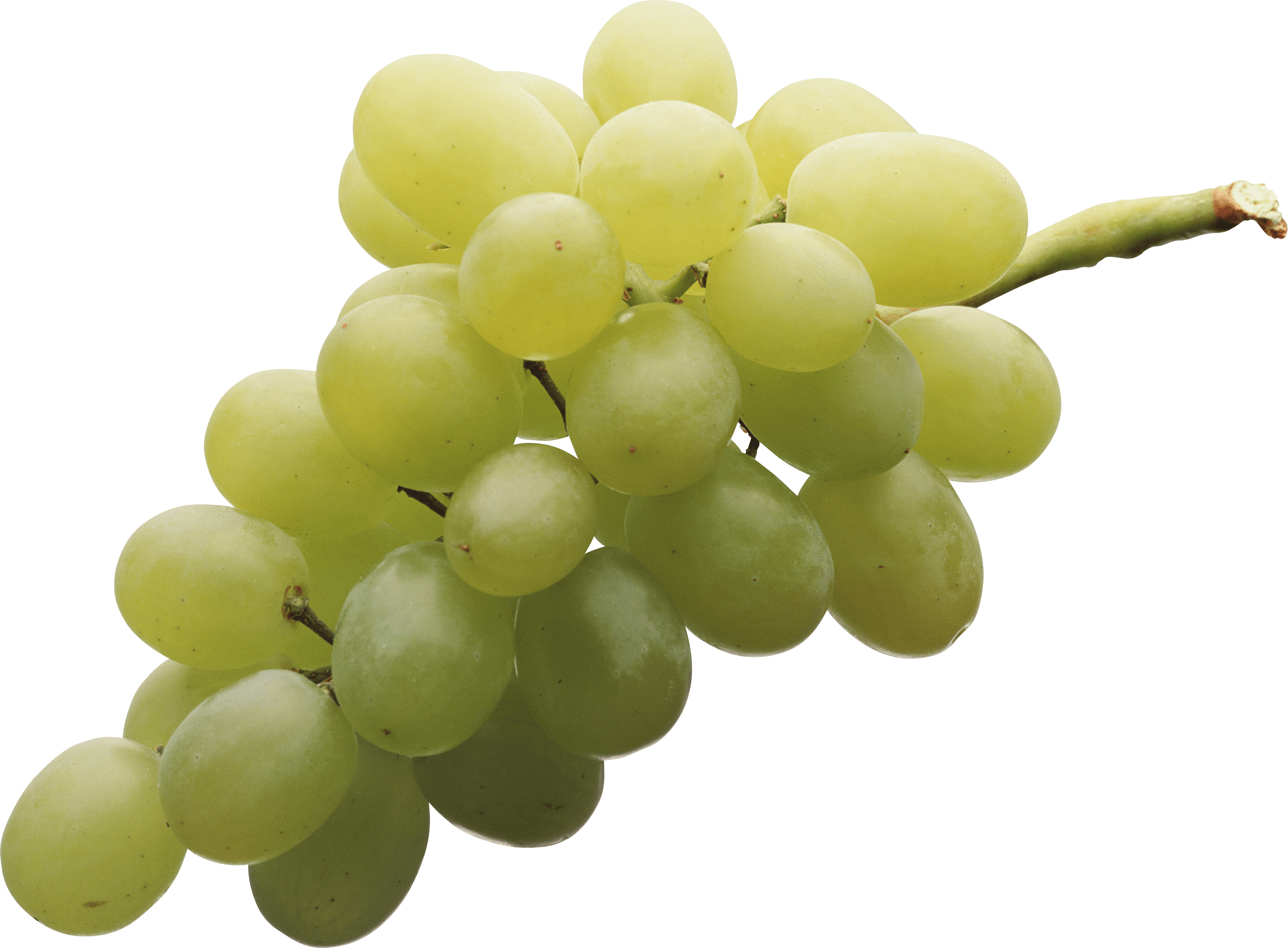 Food · Fruits · Grapes - Grapes, Transparent background PNG HD thumbnail