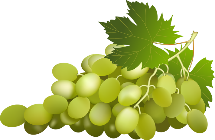 HD green grapes png picture m