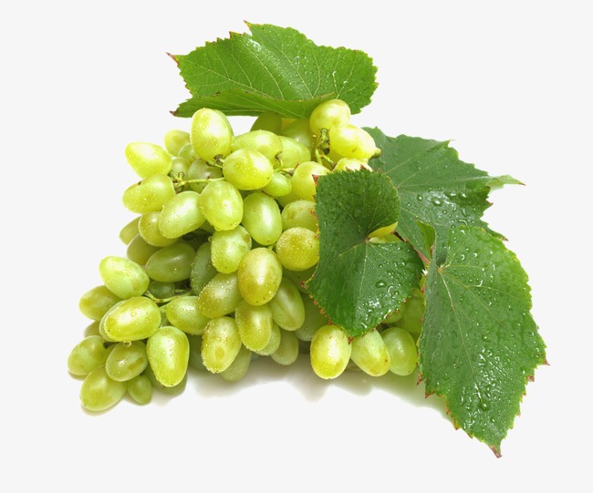 Hd Green Grapes Png Picture Material Download, Hd Green Grapes Png Picture Material Download Free - Grapes, Transparent background PNG HD thumbnail